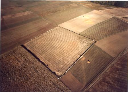 Imagen Foro pecuario. Vista aérea.