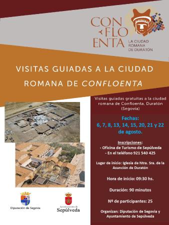 Imagen Comienzan las visitas guiadas gratuitas a la ciudad romana de Confloenta, uno de los grandes tesoros arqueológicos de Segovia